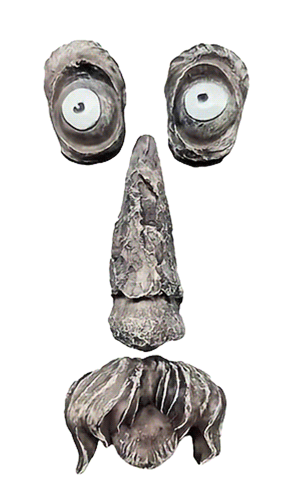 Long Face